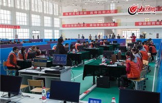 电子商务专业的山东学校