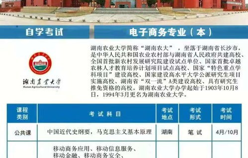 湖南电子商务专业哪所好