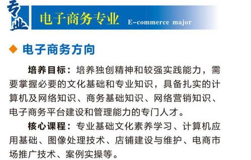 电子商务专业工作计划