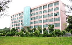 宝山区专业电子商务费用