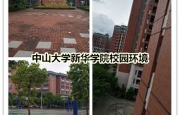 中大新华电子商务专业