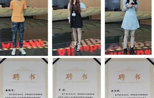 单招文科电子商务专业