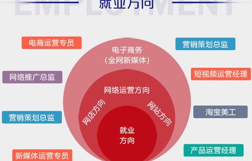 电子商务有哪些专业技能