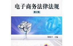 专业课电子商务案例