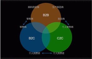 电子商务专业有教java么