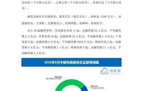 中国电子商务专业报告