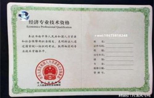 电子商务专业 中级职称