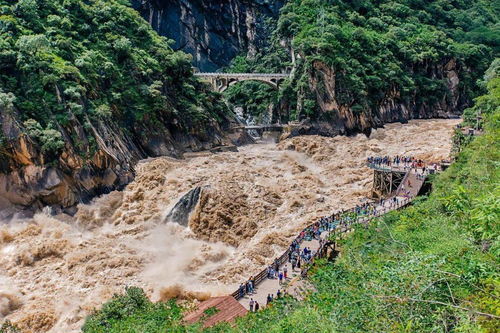 云南虎跳峡一游客徒步时失足坠崖