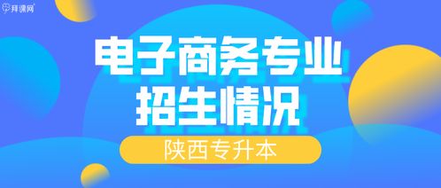 电子商务对应专科专业