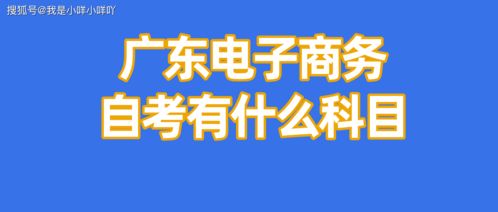 电子商务专业学会么