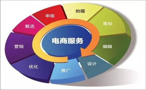 电子商务技术专业类别