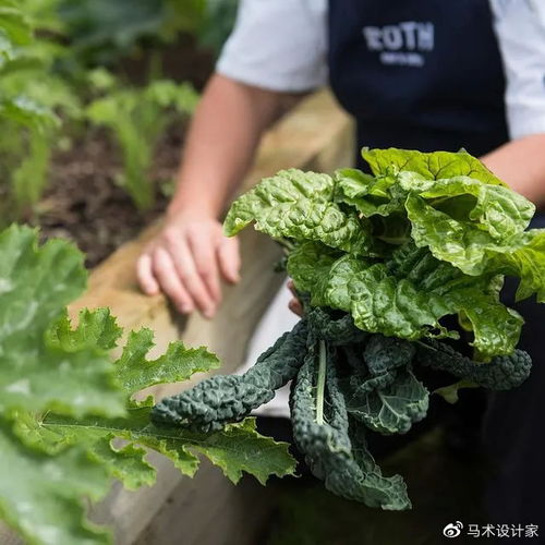 假发摊主现场种草 老太太变身大姨