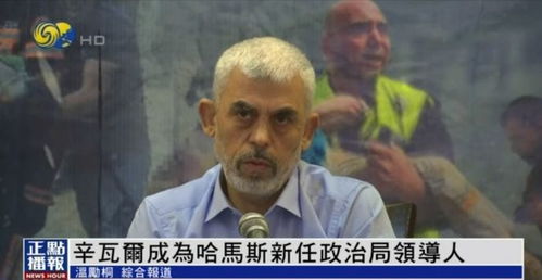 过半数哈马斯政治局委员已被杀