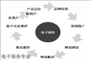 电子商务专业工作范围