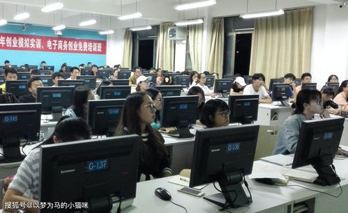 电子商务专业名字大全女