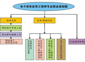 学电子商务专业怎样学好