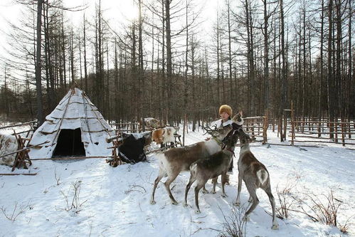 冰雪极地与热情似火的奇迹——冬天冷到-48℃的地方热成全国第一