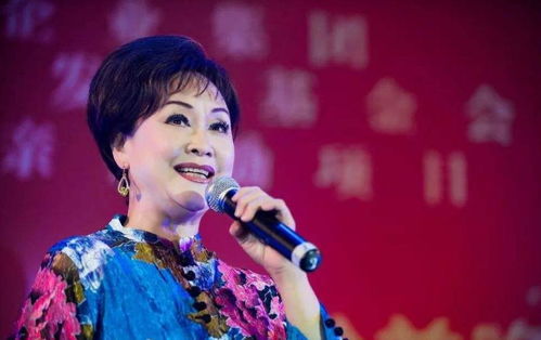 黄英自曝曾为红白喜事表演一场20元